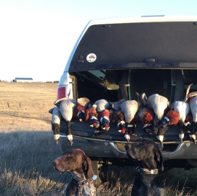 Full limit today!